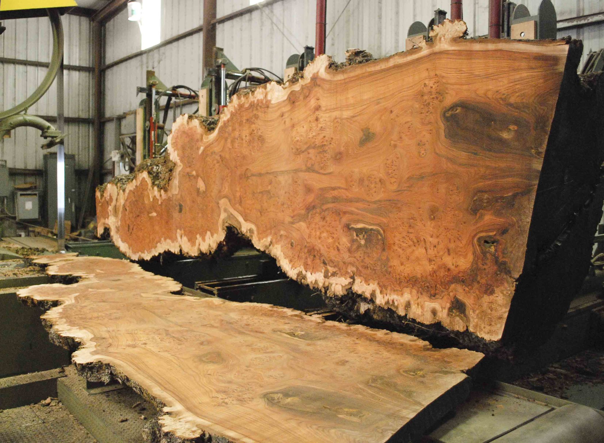 Elm (English Wych) Board BA7598 Hearne Hardwoods Store