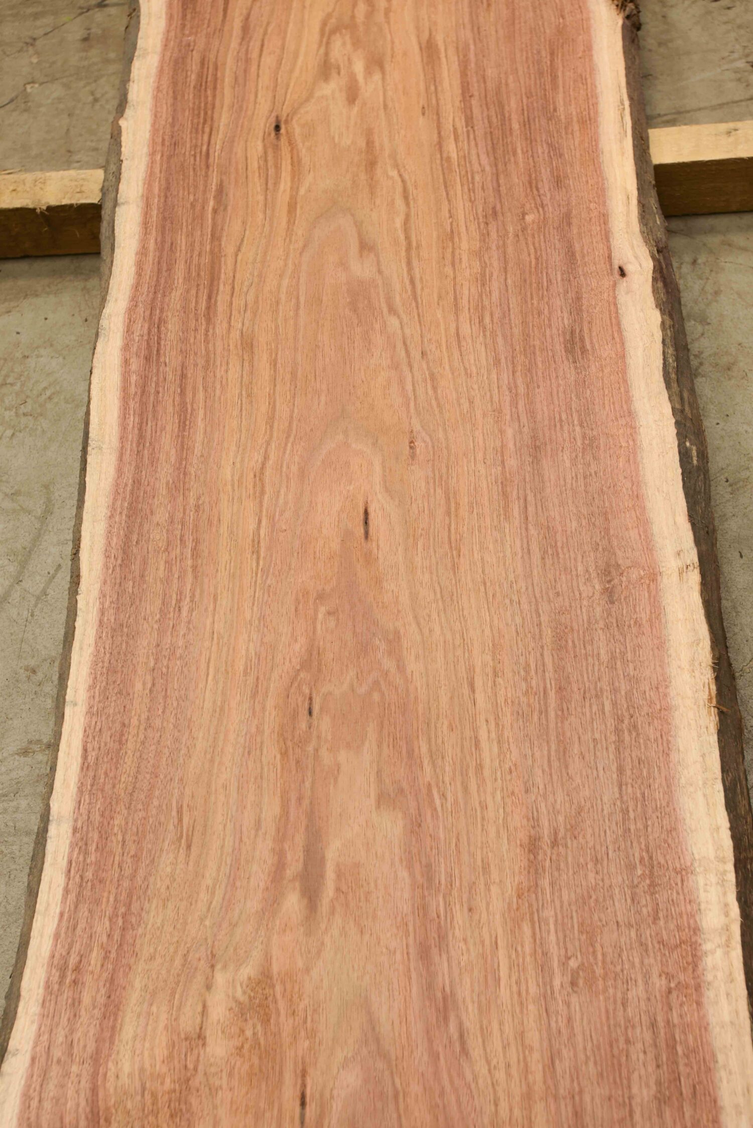 Blackwood (Tasmanian) Board BC4077 Hearne Hardwoods Store