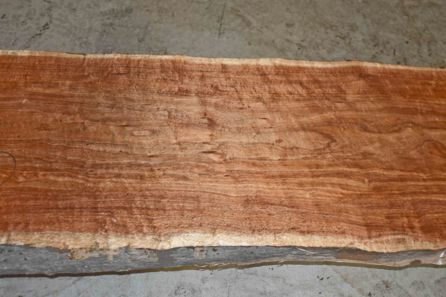 Blackwood (Tasmanian) Board BC4077 Hearne Hardwoods Store