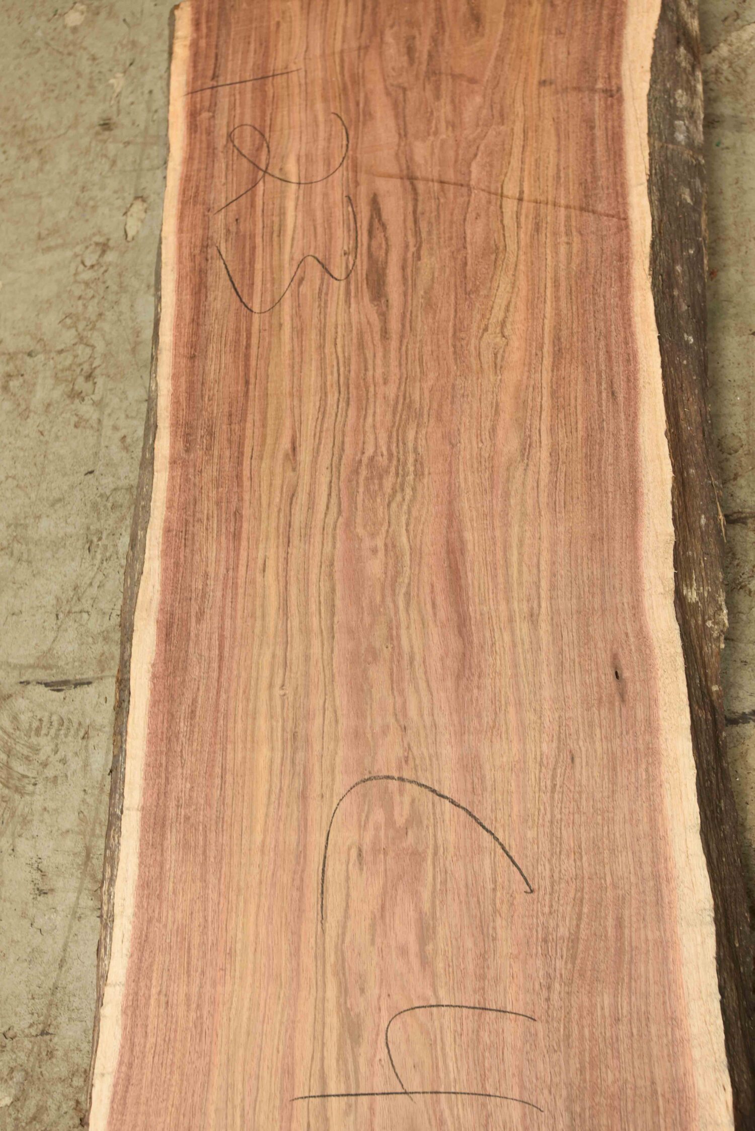 Blackwood (Tasmanian) Board BC4081 Hearne Hardwoods Store