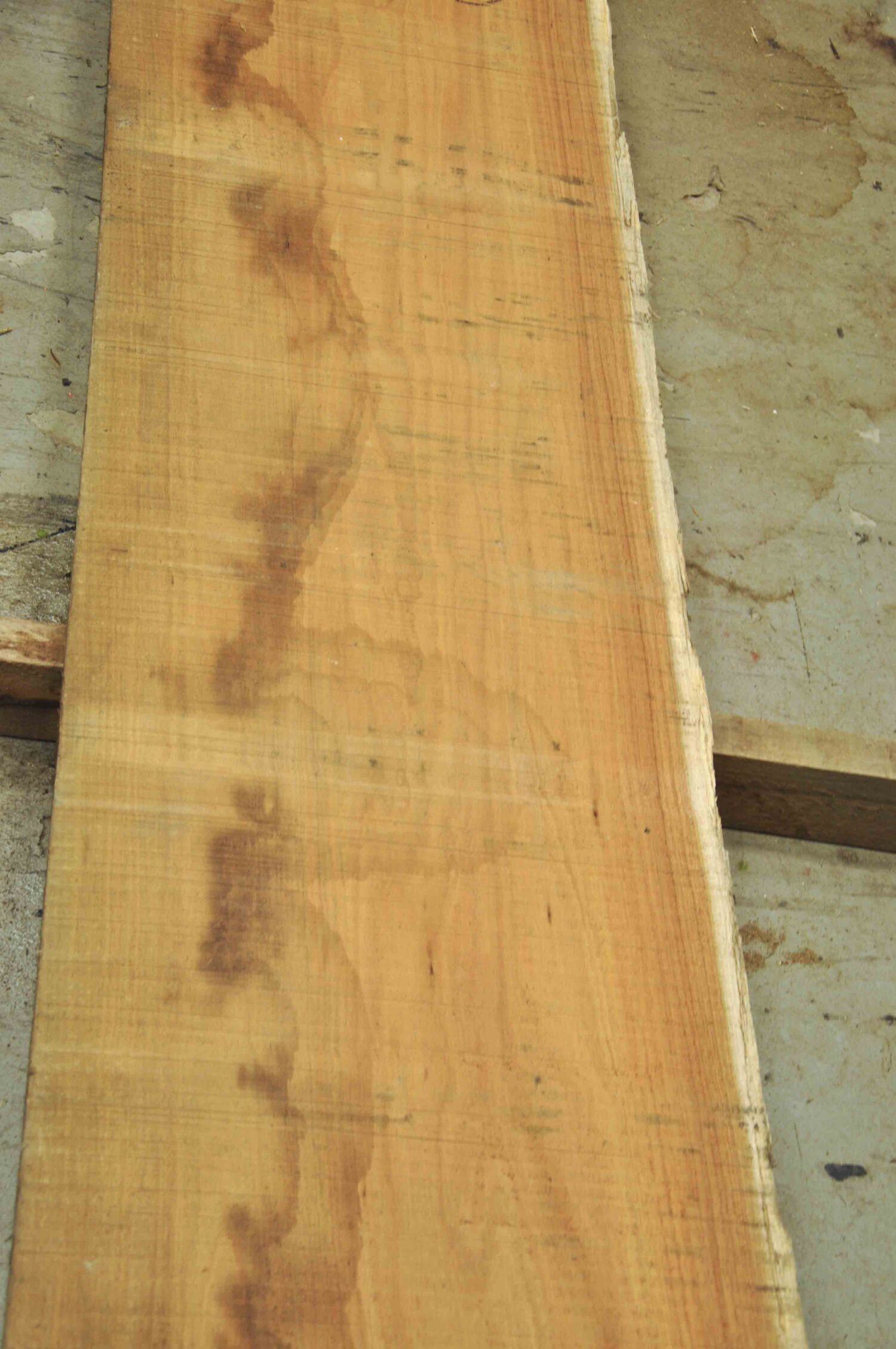 Blackwood (Tasmanian) Board BC4371 Hearne Hardwoods Store