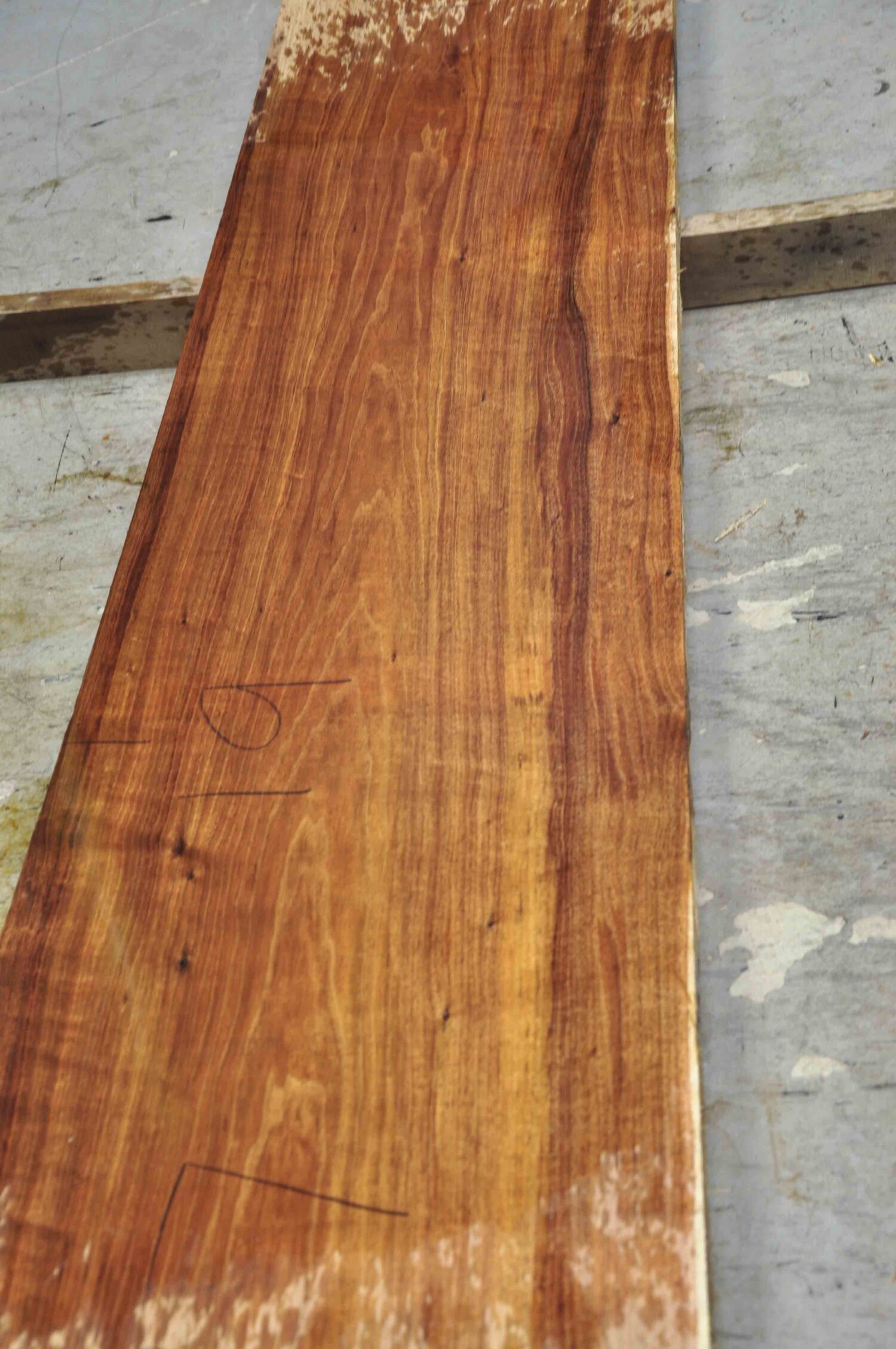 Blackwood (Tasmanian) Board BC4377 Hearne Hardwoods Store