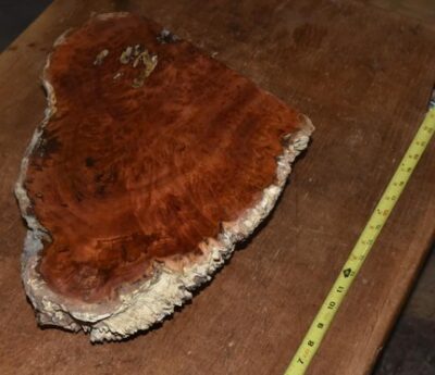 Black Box Burl 2789.BURL.017