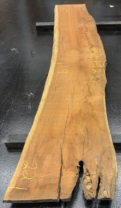 Sheoak Board BB1922