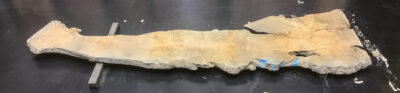 Maple (Big Leaf) Board BC1272
