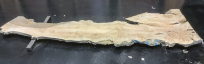 Maple (Big Leaf) Board BC1273