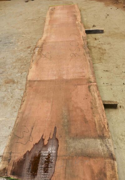 Bubinga Board BC4056