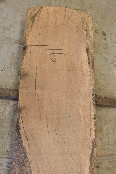 Sapele Board BC4151