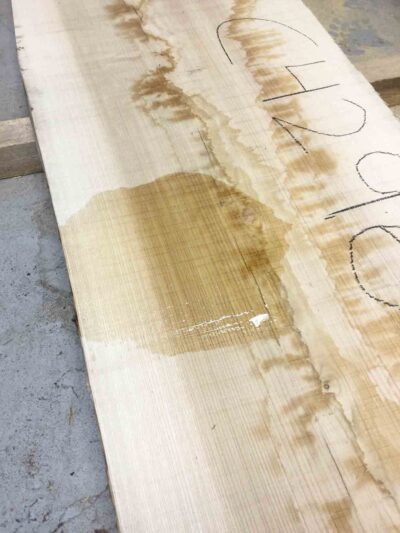 Ash (European) Board BC4296