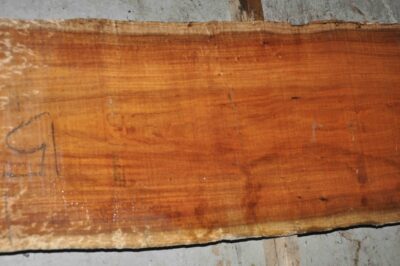 Blackwood (Tasmanian) Board BC4372