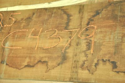 Blackwood (Tasmanian) Board BC4379