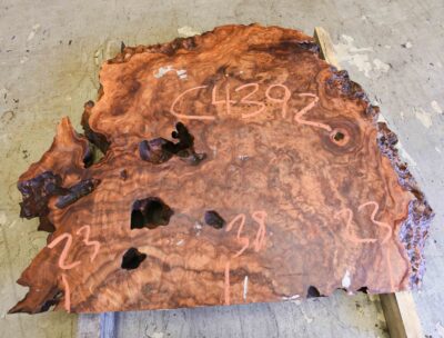 Camphor Board BC4392