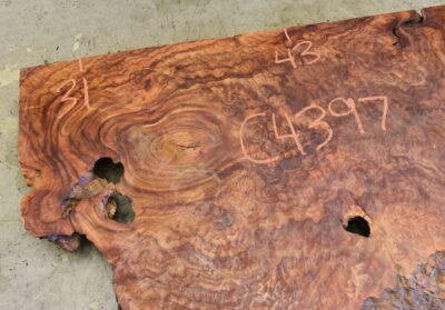 Camphor Board BC4397