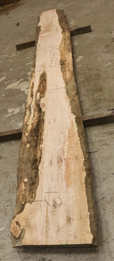 Maple (Big Leaf) Board BC4425