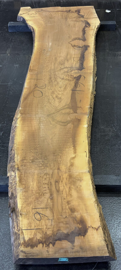 Walnut (European) Board BC4561