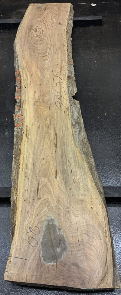 Walnut (European) Board BC4566