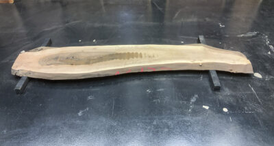 Walnut (European) Board BC4570