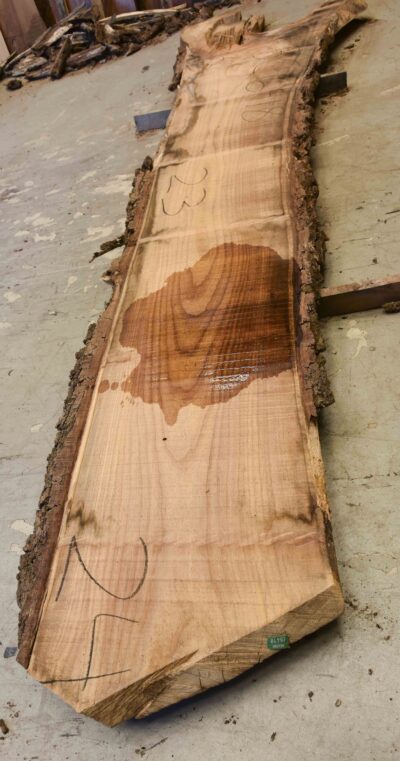 Elm (Red) Board BC6418