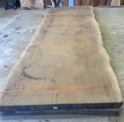 Sapele Board BD03075