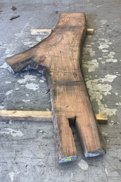 Barba Jolote (Sinker) Board BD03096
