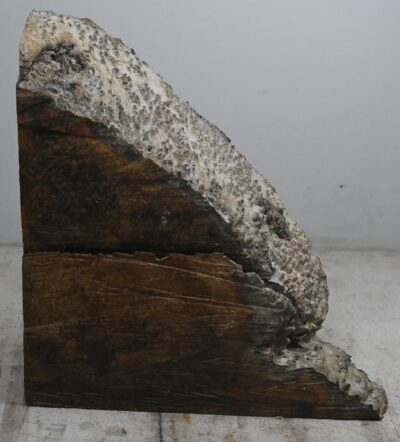 Yellow Box Burl YLBX.BURL.002