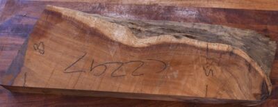 Koa GuitarBillet KOASB.G.231