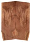 Walnut (Claro) GuitarSolidBodyTopATC 15492.G.018