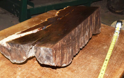 Gidgee Block 2789.BURL.014