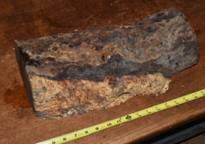 Gidgee Block 2789.BURL.048