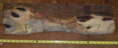 Gidgee Block 2789.BURL.067