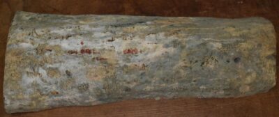 Gidgee Block 2789.BURL.105