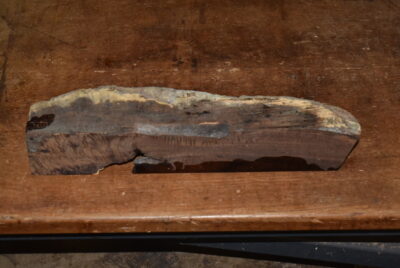 Gidgee Block 2789.BURL.116