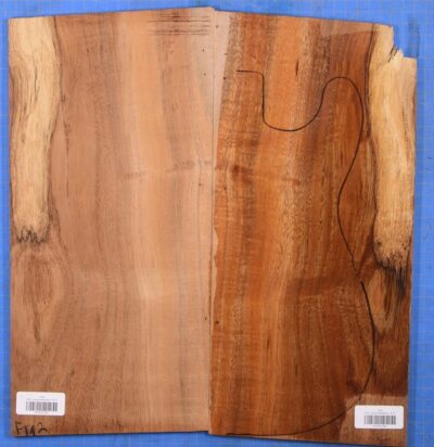 Koa GuitarSolidBodyTopATC KOA22.042