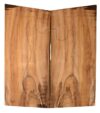 Koa GuitarSolidBodyTopATC KOASB.G.004
