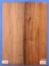Koa GuitarSolidBodyTopATC KOASB.G.026 - Image 2