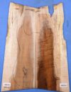 Koa GuitarSolidBodyTopATC L14580.G.023 - Image 2