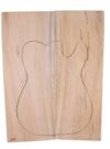 Koa GuitarSolidBodyTopATC L18534.G.110