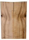 Myrtle (American) GuitarSolidBodyTopATC L18938.G.351