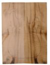 Myrtle (American) GuitarSolidBodyTopATC L18938.G.354