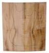Myrtle (American) GuitarSolidBodyTopATC L18938.G.355