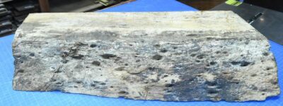 Blackwood (Tasmanian) Block LAS.G.001