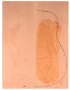 Maple (Big Leaf) GuitarBack2pcATC M2843.G.002