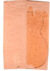 Maple (Big Leaf) GuitarBack2pcATC M2843.G.046