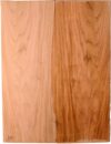 Butternut GuitarBack2pcATC NAMM19.G.210