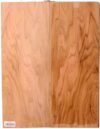 Butternut GuitarBack2pcATC NAMM19.G.212