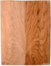 Butternut GuitarBack2pcATC NAMM19.G.213