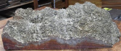 Black Box Burl 2983.BURL.017