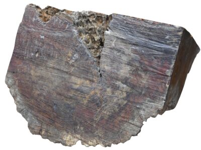 Black Box Burl 2983.BURL.021