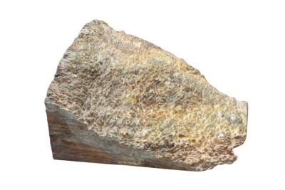 Black Box Burl 2983.BURL.037
