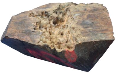 Black Box Burl 2983.BURL.066